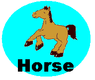 horse.jpg