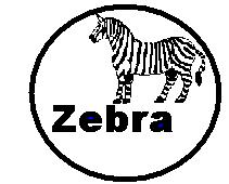 zebra.jpg